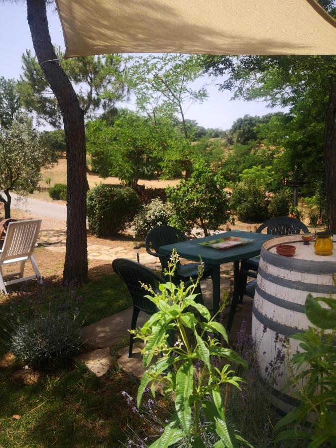 Podere Pini Magliano in Toscana Exterior foto