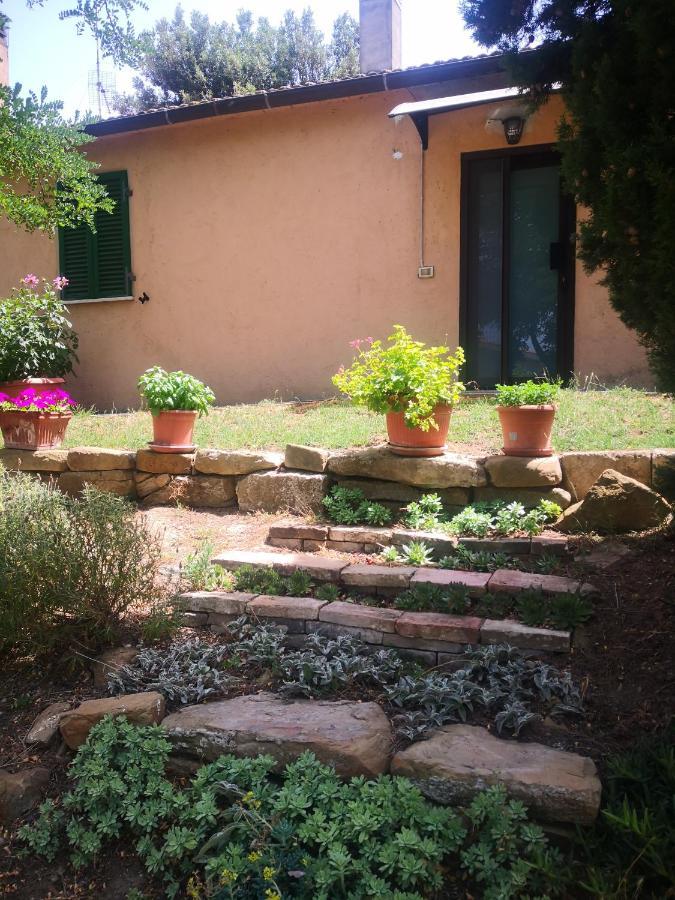 Podere Pini Magliano in Toscana Exterior foto